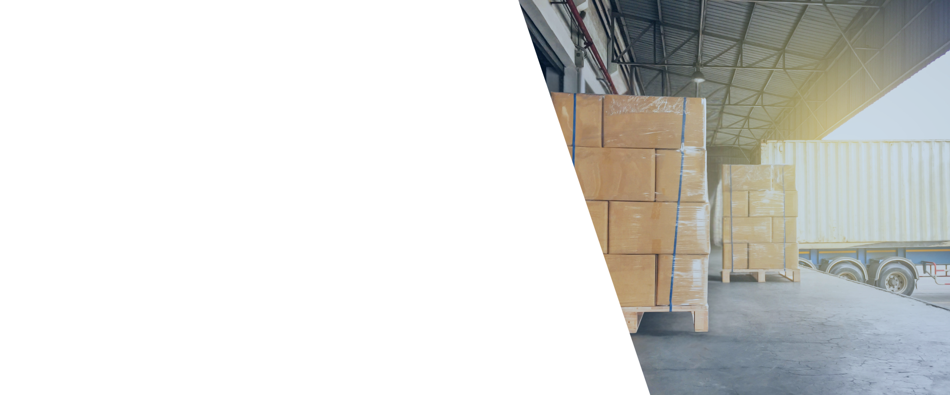 Carga Courier Flexi Express